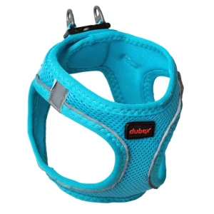 blue dog harness