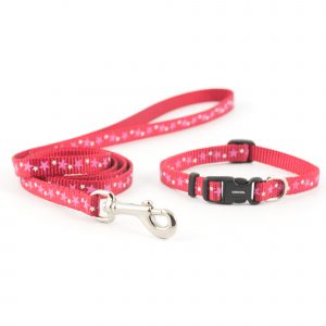 puppy collar
