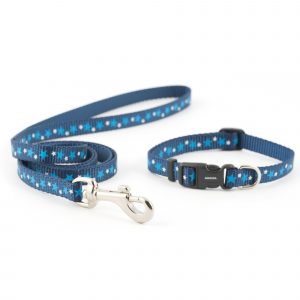 puppy collar and lead set