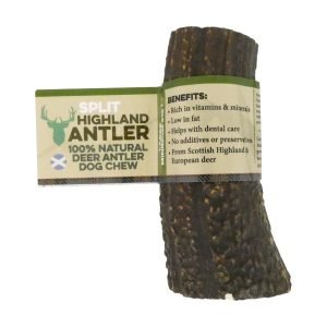 antler dog chew