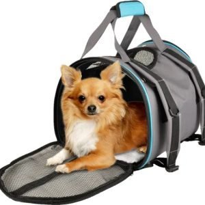 dog backpack