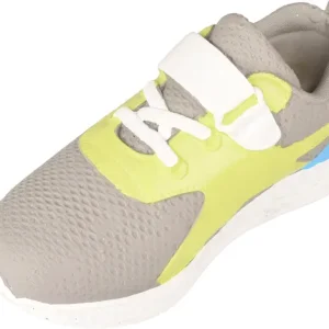 sneaker dog toy