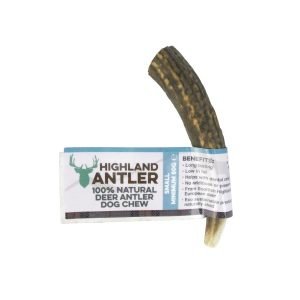 antler dog chew
