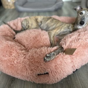 calming dog bed