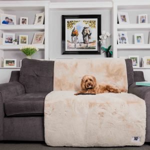 Couch Protection