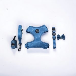 dog harness set