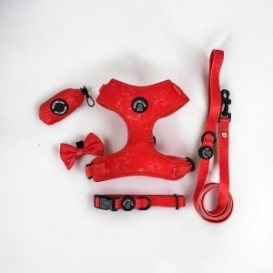 dog harness set