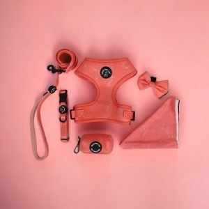 dog harness set