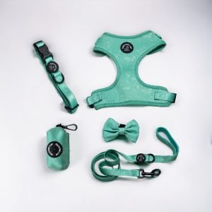 dog harness set