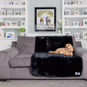 pet couch cover