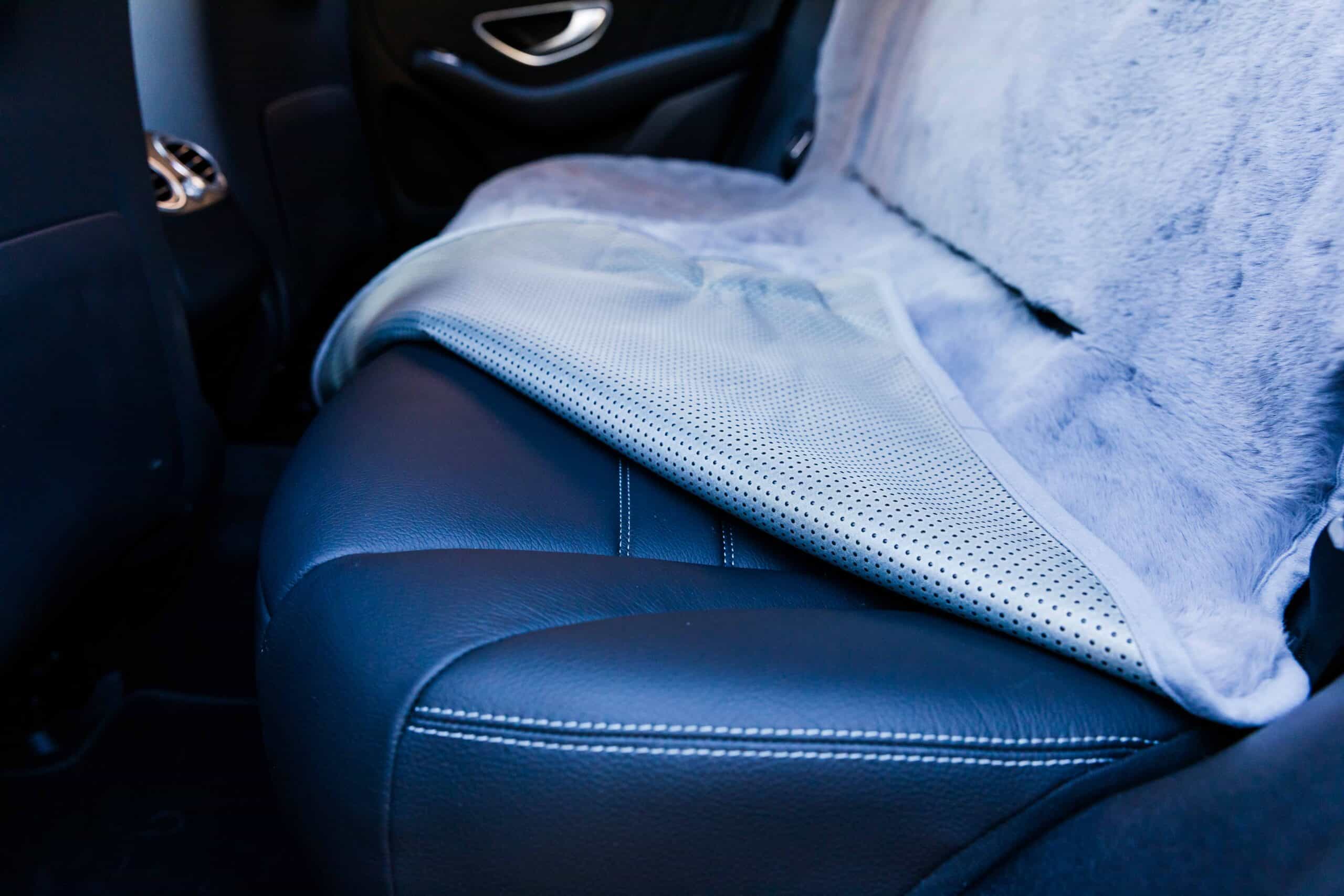 Pet Rebellion Dog Back Seat Car Cover 2 Dog Back Seat Car Cover