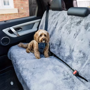 Dog Back Seat Car Cover