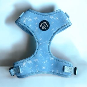 dog harness