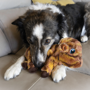 Low Stuff Dog Toy