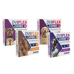 flea treatment
