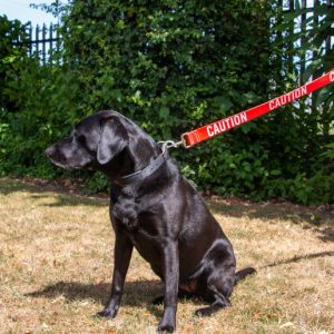 Caution Dog Lead